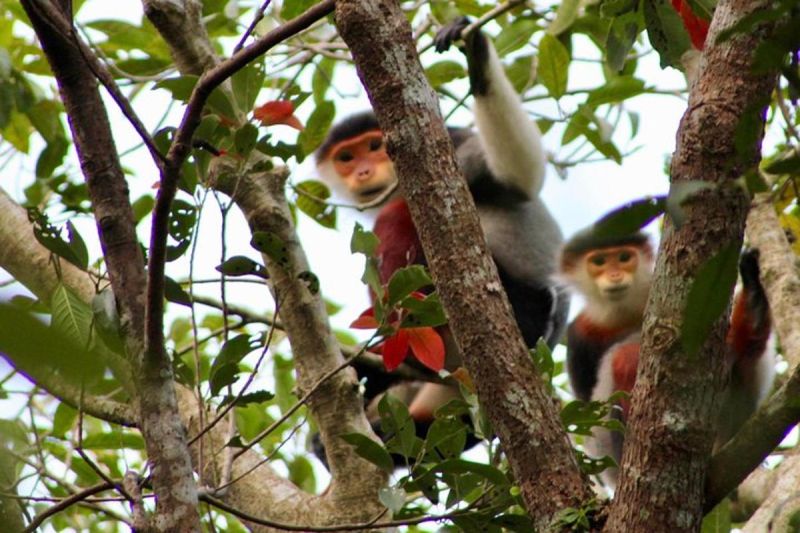 Danang – Marble Mountain - Hoi An – Da Nang (B, D) - Joined tour 1