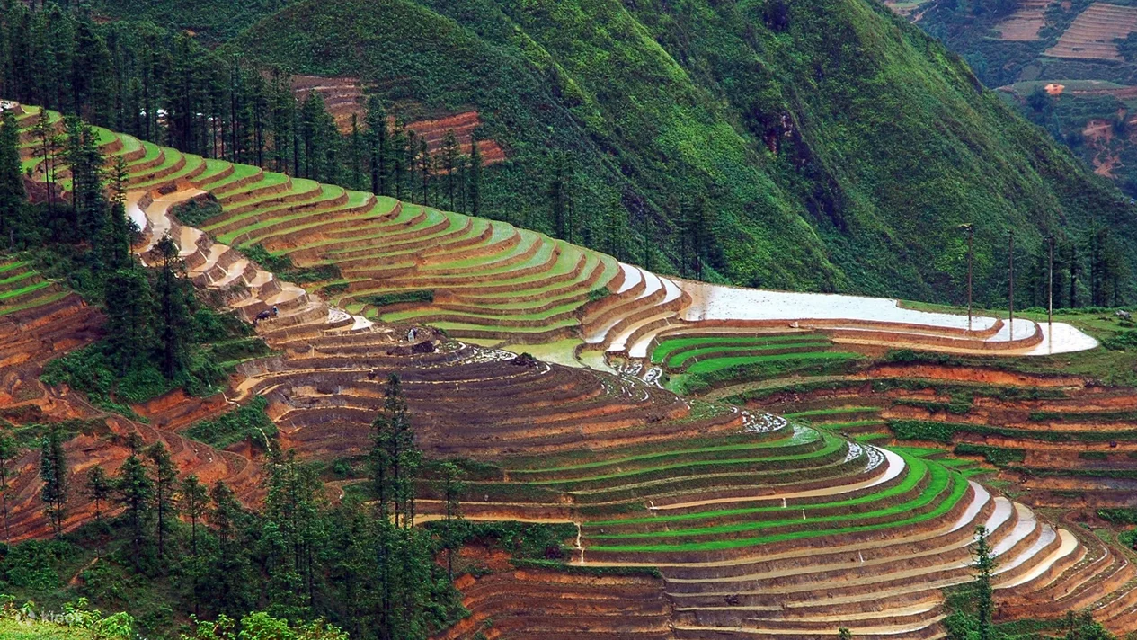 Sapa - Lao chai – Tavan hill tribe villages (B, L, D) 1