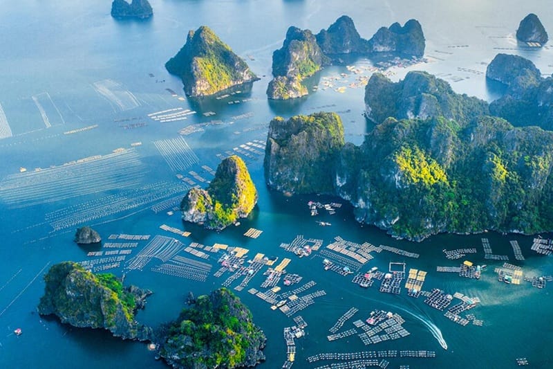 Hanoi – Ha Long Bay - Cruise tour (B, L, D) – Joined cruise 1